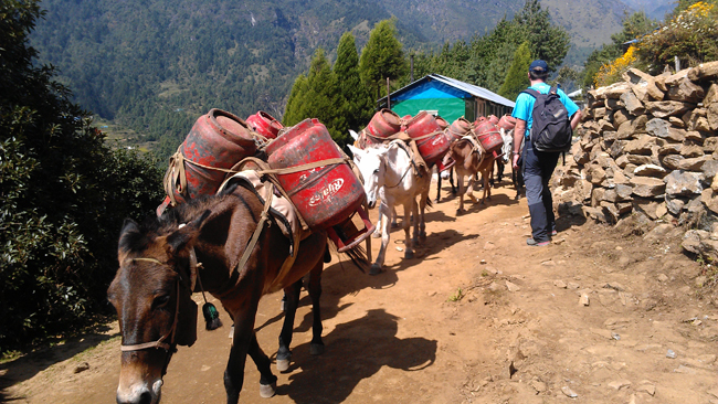 https://archive.nepalitimes.com/assets/uploads/gallery/71033-Lukla-to-Namche-Trekking-online.jpg