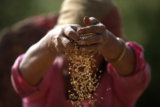 https://archive.nepalitimes.com/assets/uploads/gallery/d8eb9-Farmers-in-Bungamati.jpg