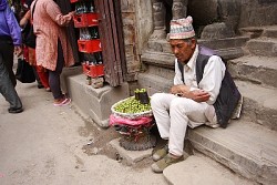 https://archive.nepalitimes.com/image.php?&width=250&image=/assets/uploads/gallery/27344-April-23-1.jpg