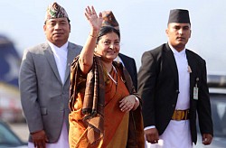 https://archive.nepalitimes.com/image.php?&width=250&image=/assets/uploads/gallery/3326d-12121.JPG