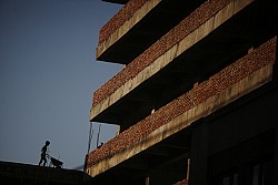 https://archive.nepalitimes.com/image.php?&width=250&image=/assets/uploads/gallery/3992e-Brick-layer-at-a-construction-site-in-Maharajganj.jpg