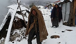 https://archive.nepalitimes.com/image.php?&width=250&image=/assets/uploads/gallery/6f796-Snowfall-in-Laprak-Nepal.jpg