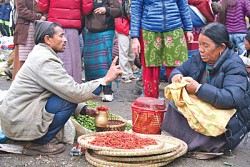 https://archive.nepalitimes.com/image.php?&width=250&image=/assets/uploads/gallery/ce3b2-h4.jpg