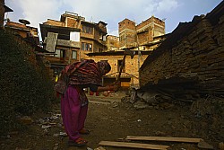 https://archive.nepalitimes.com/image.php?&width=250&image=/assets/uploads/gallery/12063-firewood.jpg