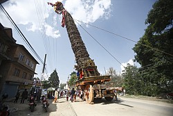 https://archive.nepalitimes.com/image.php?&width=250&image=/assets/uploads/gallery/15990-gallery.jpg