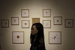 https://archive.nepalitimes.com/image.php?&width=250&image=/assets/uploads/gallery/1b120-Lena-Koester-art-exhibition-.jpg