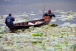https://archive.nepalitimes.com/image.php?&width=250&image=/assets/uploads/gallery/23dd1-May-22.jpg