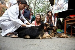 https://archive.nepalitimes.com/image.php?&width=250&image=/assets/uploads/gallery/27f0e-Ap-2-1.JPG