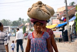 https://archive.nepalitimes.com/image.php?&width=250&image=/assets/uploads/gallery/31e3d-IMG_7061edited_S.jpg