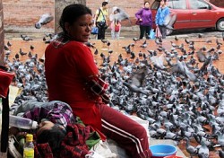 https://archive.nepalitimes.com/image.php?&width=250&image=/assets/uploads/gallery/33b55-24-ed.jpg