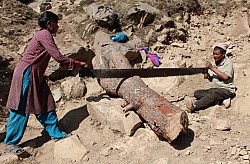 https://archive.nepalitimes.com/image.php?&width=250&image=/assets/uploads/gallery/34c6c-IMG_9040.JPG