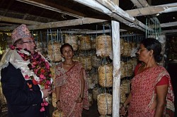 https://archive.nepalitimes.com/image.php?&width=250&image=/assets/uploads/gallery/37839-british.jpg
