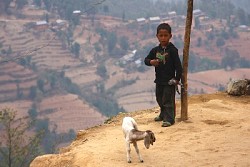 https://archive.nepalitimes.com/image.php?&width=250&image=/assets/uploads/gallery/396b5-17.jpg