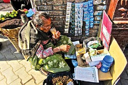 https://archive.nepalitimes.com/image.php?&width=250&image=/assets/uploads/gallery/4446c-h4.jpg