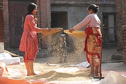 https://archive.nepalitimes.com/image.php?&width=250&image=/assets/uploads/gallery/4bbe2-1N0Q3102.jpg
