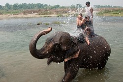 https://archive.nepalitimes.com/image.php?&width=250&image=/assets/uploads/gallery/4cda7-4.jpg