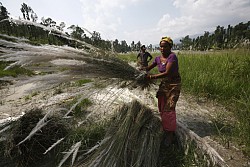 https://archive.nepalitimes.com/image.php?&width=250&image=/assets/uploads/gallery/4d680-_MG_9748.JPG