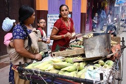 https://archive.nepalitimes.com/image.php?&width=250&image=/assets/uploads/gallery/4f144-April-23.jpg