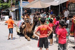 https://archive.nepalitimes.com/image.php?&width=250&image=/assets/uploads/gallery/6731c-Ap-28-1.JPG