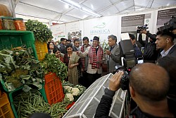 https://archive.nepalitimes.com/image.php?&width=250&image=/assets/uploads/gallery/690f3-PM-at-Trade-Fair.jpg