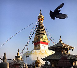 https://archive.nepalitimes.com/image.php?&width=250&image=/assets/uploads/gallery/751f1-Swaymabhu.jpg