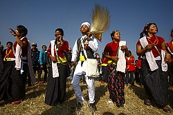 https://archive.nepalitimes.com/image.php?&width=250&image=/assets/uploads/gallery/76488-kirat-celebration.jpg