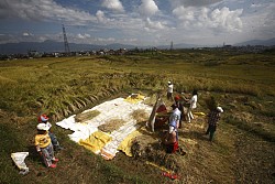 https://archive.nepalitimes.com/image.php?&width=250&image=/assets/uploads/gallery/78f63-_MG_3385-copy.jpg