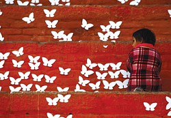 https://archive.nepalitimes.com/image.php?&width=250&image=/assets/uploads/gallery/80ca9-m3.jpg