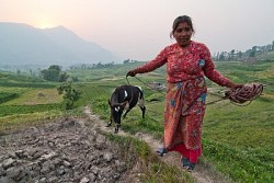 https://archive.nepalitimes.com/image.php?&width=250&image=/assets/uploads/gallery/84aac-14.jpg