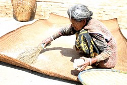 https://archive.nepalitimes.com/image.php?&width=250&image=/assets/uploads/gallery/8adef-h4.jpg