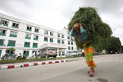 https://archive.nepalitimes.com/image.php?&width=250&image=/assets/uploads/gallery/8e276-_MG_2131.JPG
