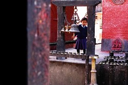 https://archive.nepalitimes.com/image.php?&width=250&image=/assets/uploads/gallery/8ee3c-Feb-18-6-edited.jpg