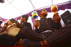 https://archive.nepalitimes.com/image.php?&width=250&image=/assets/uploads/gallery/92ae9-Disabled-Service-Associaton.jpg