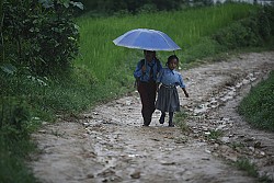https://archive.nepalitimes.com/image.php?&width=250&image=/assets/uploads/gallery/b5d63-online.jpg