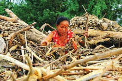 https://archive.nepalitimes.com/image.php?&width=250&image=/assets/uploads/gallery/ba14b-h4.jpg