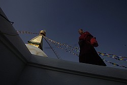 https://archive.nepalitimes.com/image.php?&width=250&image=/assets/uploads/gallery/c47ff-1.jpg