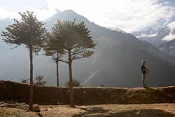 https://archive.nepalitimes.com/image.php?&width=250&image=/assets/uploads/gallery/c517a-May-20.jpg
