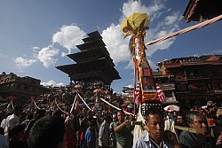 https://archive.nepalitimes.com/image.php?&width=250&image=/assets/uploads/gallery/d5e4f-Gai-Jatra.jpg