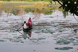 https://archive.nepalitimes.com/image.php?&width=250&image=/assets/uploads/gallery/db7d2-ghodaghodi-small.jpg