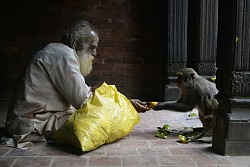 https://archive.nepalitimes.com/image.php?&width=250&image=/assets/uploads/gallery/dbb0f-friends.jpg