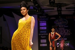 https://archive.nepalitimes.com/image.php?&width=250&image=/assets/uploads/gallery/dcee6-Mar-31.JPG