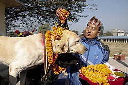 https://archive.nepalitimes.com/image.php?&width=250&image=/assets/uploads/gallery/ec2bd-22643253_10154716856347130_929763104_o.jpg