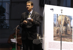 https://archive.nepalitimes.com/image.php?&width=250&image=/assets/uploads/gallery/ec765-french-envoy.png