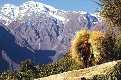 https://archive.nepalitimes.com/image.php?&width=250&image=/assets/uploads/gallery/ee678-1.jpg
