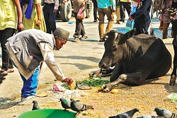 https://archive.nepalitimes.com/image.php?&width=250&image=/assets/uploads/gallery/f01b7-h4.jpg