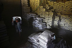 https://archive.nepalitimes.com/image.php?&width=250&image=/assets/uploads/gallery/f3a30-Worker-from-Sindhupalchok.jpg